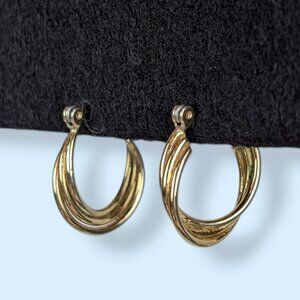 (2/$20) V. Small Twisted Hoop Earrings